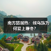南方旅居热：候鸟族为何爱上暖冬？（图4）