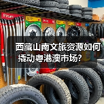 西藏山南文旅资源如何撬动粤港澳市场？（图4）