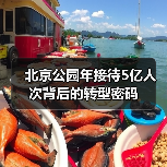 北京公园年接待5亿人次背后的转型密码（图4）