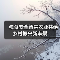 粮食安全智慧农业共绘乡村振兴新丰景(图3) 粮食安全智慧农业共绘乡村振兴新丰景(图3)