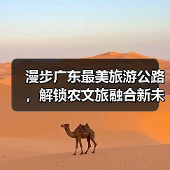 漫步广东最美旅游公路，解锁农文旅融合新未来（图4）