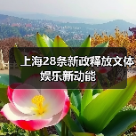 上海28条新政释放文体娱乐新动能（图2）