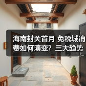 海南封关首月 免税城消费如何演变？三大趋势引关注（图3）