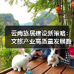 云南旅居建设新策略：文旅产业高质量发展路径（图3）