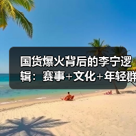 国货爆火背后的李宁逻辑：赛事+文化+年轻群体三重驱动（图4）