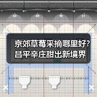 京郊草莓采摘哪里好？昌平辛庄甜出新境界（图1）