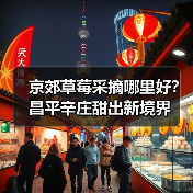 京郊草莓采摘哪里好？昌平辛庄甜出新境界（图2）