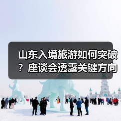 山东入境旅游如何突破？座谈会透露关键方向（图4）