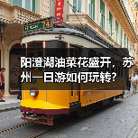 阳澄湖油菜花盛开,苏州一日游如何玩转?(图1) 阳澄湖油菜花盛开,苏州一日游如何玩转?(图1)