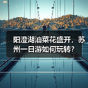 阳澄湖油菜花盛开,苏州一日游如何玩转?(图3) 阳澄湖油菜花盛开,苏州一日游如何玩转?(图3)