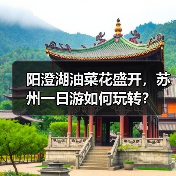 阳澄湖油菜花盛开,苏州一日游如何玩转?(图4) 阳澄湖油菜花盛开,苏州一日游如何玩转?(图4)