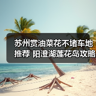 苏州赏油菜花不堵车地推荐 阳澄湖莲花岛攻略（图1）