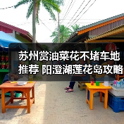 苏州赏油菜花不堵车地推荐 阳澄湖莲花岛攻略（图4）