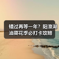 错过再等一年？阳澄湖油菜花季必打卡攻略（图2）
