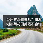 苏州春游去哪儿？阳澄湖油菜花田美景不容错过（图1）