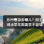 苏州春游去哪儿？阳澄湖油菜花田美景不容错过（图2）