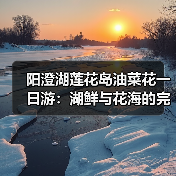 阳澄湖莲花岛油菜花一日游：湖鲜与花海的完美结合（图1）