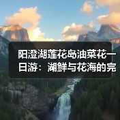 阳澄湖莲花岛油菜花一日游：湖鲜与花海的完美结合（图3）