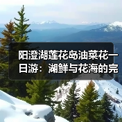 阳澄湖莲花岛油菜花一日游：湖鲜与花海的完美结合（图4）