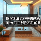 阳澄湖油菜花季错过就可惜 阎王都拦不住的风景(图3) 阳澄湖油菜花季错过就可惜 阎王都拦不住的风景(图3)
