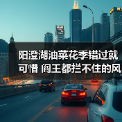 阳澄湖油菜花季错过就可惜 阎王都拦不住的风景(图4) 阳澄湖油菜花季错过就可惜 阎王都拦不住的风景(图4)