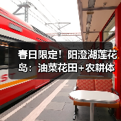 春日限定！阳澄湖莲花岛：油菜花田+农耕体验，一日游全攻略（图2）
