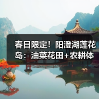 春日限定！阳澄湖莲花岛：油菜花田+农耕体验，一日游全攻略（图3）
