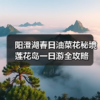 阳澄湖春日油菜花秘境 莲花岛一日游全攻略(图4) 阳澄湖春日油菜花秘境 莲花岛一日游全攻略(图4)