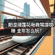 阳澄湖莲花岛自驾游攻略 全年怎么玩？（图2）
