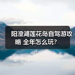阳澄湖莲花岛自驾游攻略 全年怎么玩？（图3）