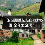 阳澄湖莲花岛自驾游攻略 全年怎么玩？（图4）