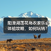 阳澄湖莲花岛农家乐必体验攻略，如何玩转？（图4）