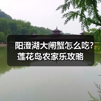 阳澄湖大闸蟹怎么吃？莲花岛农家乐攻略（图3）