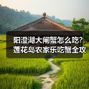 阳澄湖大闸蟹怎么吃?莲花岛农家乐吃蟹全攻略(图2) 阳澄湖大闸蟹怎么吃?莲花岛农家乐吃蟹全攻略(图2)