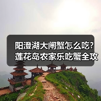 阳澄湖大闸蟹怎么吃?莲花岛农家乐吃蟹全攻略(图3) 阳澄湖大闸蟹怎么吃?莲花岛农家乐吃蟹全攻略(图3)