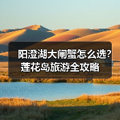 阳澄湖大闸蟹怎么选？莲花岛旅游全攻略（图2）