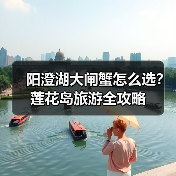阳澄湖大闸蟹怎么选？莲花岛旅游全攻略（图4）