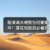 阳澄湖大闸蟹为何更美味？莲花岛旅游必看攻略（图1）