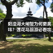 阳澄湖大闸蟹为何更美味？莲花岛旅游必看攻略（图3）