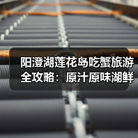 阳澄湖莲花岛吃蟹旅游全攻略:原汁原味湖鲜体验(图4) 阳澄湖莲花岛吃蟹旅游全攻略:原汁原味湖鲜体验(图4)