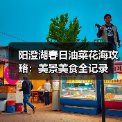 阳澄湖春日油菜花海攻略：美景美食全记录（图3）
