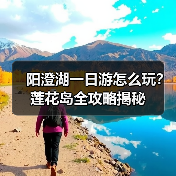 阳澄湖一日游怎么玩？莲花岛全攻略揭秘（图1）