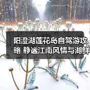 阳澄湖莲花岛自驾游攻略 静谧江南风情与湖鲜美食体验（图1）