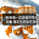 阳澄湖一日游避开周末攻略 莲花岛农家乐游玩全记录（图2）