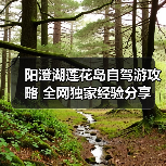 阳澄湖莲花岛自驾游攻略 全网独家经验分享（图2）