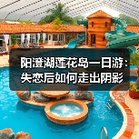 阳澄湖莲花岛一日游：失恋后如何走出阴影（图4）