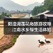 阳澄湖莲花岛旅游攻略：江南水乡慢生活体验（图1）