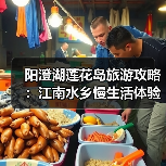 阳澄湖莲花岛旅游攻略：江南水乡慢生活体验（图2）