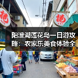 阳澄湖莲花岛一日游攻略:农家乐美食体验全记录(图1) 阳澄湖莲花岛一日游攻略:农家乐美食体验全记录(图1)
