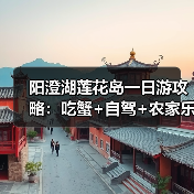 阳澄湖莲花岛一日游攻略：吃蟹+自驾+农家乐体验全记录（图2）